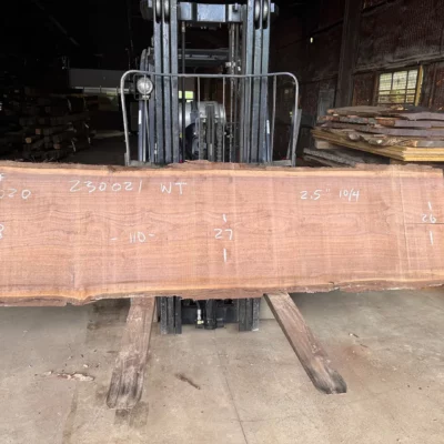 Walnut Slab 230021