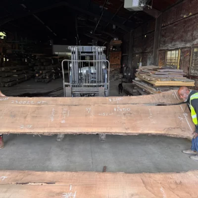 Walnut Slab 230022