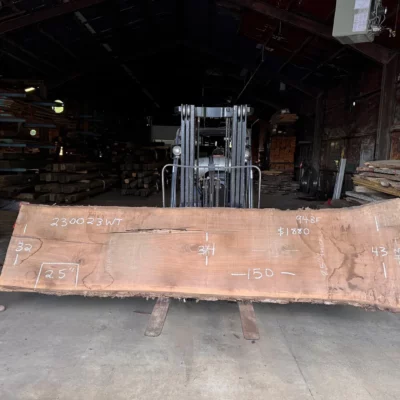 Walnut Slab 230023