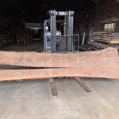 Walnut Slab 230025