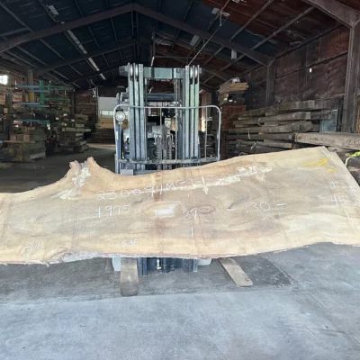 Magnolia Slab 230094