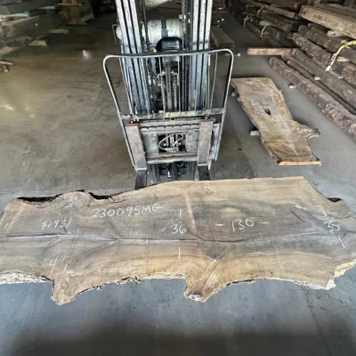 Magnolia Slab 230095