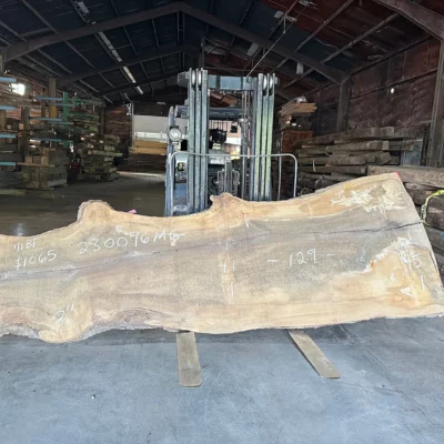 Magnolia Slab 230096