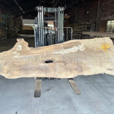 Magnolia Slab 230098