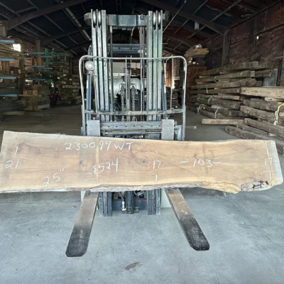 Walnut Slab 230099