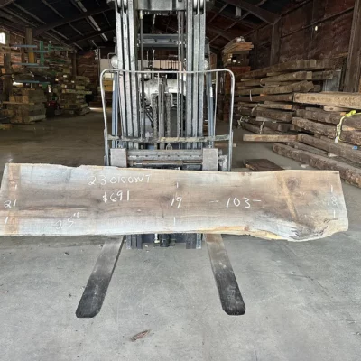 Walnut Slab 230100