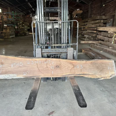 Walnut Slab 230101