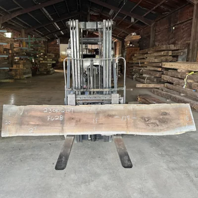 Walnut Slab 230102