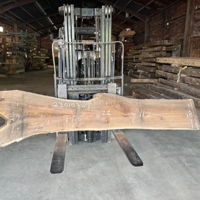 Walnut Slab 230103
