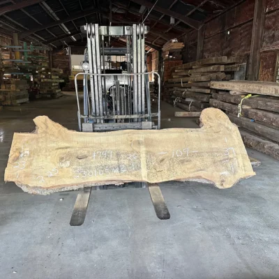 Magnolia Slab 230105