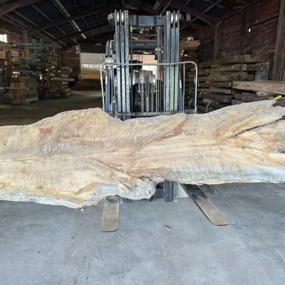 Magnolia Slab 230106
