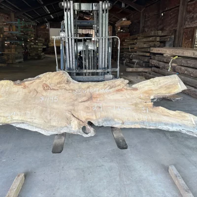 Magnolia Slab 230107