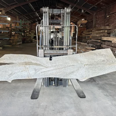 Elm Slab 230108