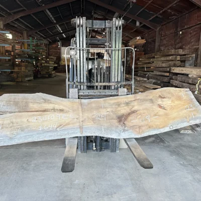 Elm Slab 230109