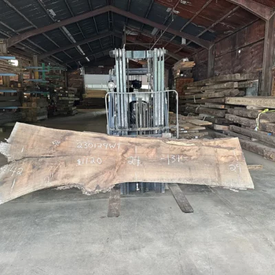 Walnut Slab 230129