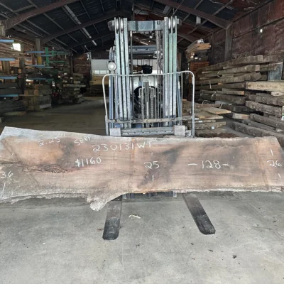 Walnut Slab 230131