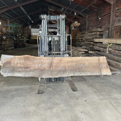 Walnut Slab 230132
