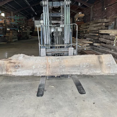 Walnut Slab 230133