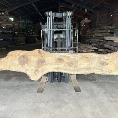 Magnolia Slab 230134