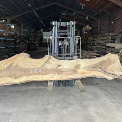 Magnolia Slab 230135