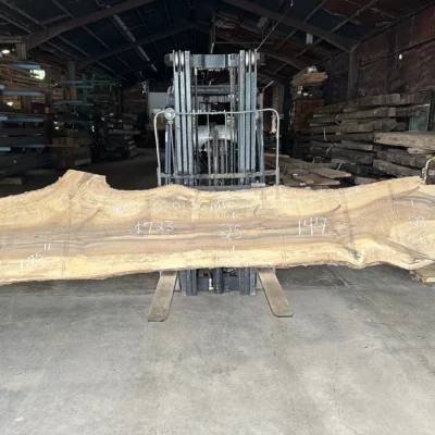 Magnolia Slab 230136