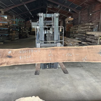 Walnut Slab 230138