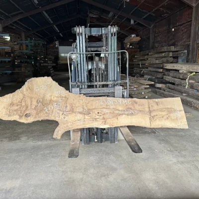 Magnolia Slab 230139